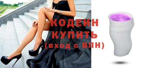 хмурый Михайловск