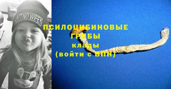 хмурый Михайловск