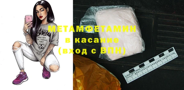 индика Каменногорск