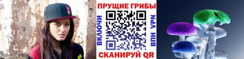 хочу   мега рабочий сайт  Галлюциногенные грибы Magic Shrooms  Дербент 