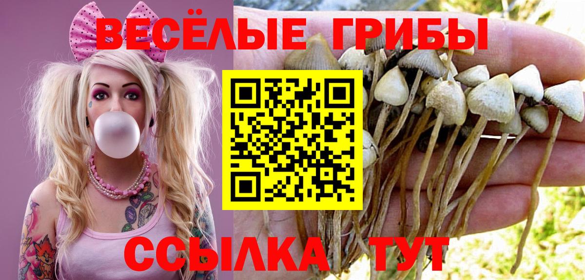 Псилоцибиновые грибы ЛСД Дербент