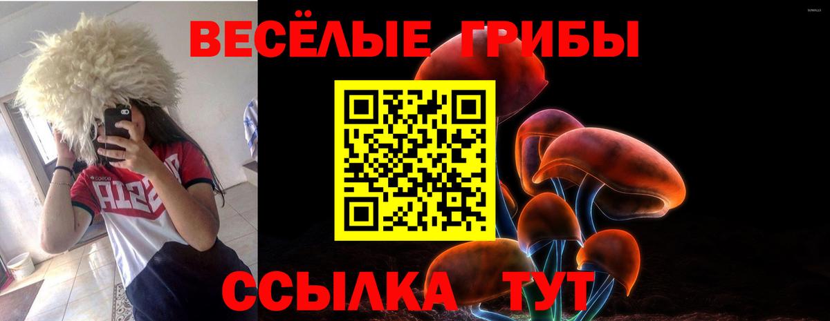 Дербент  Псилоцибиновые грибы Psilocybe  Вход с VPN 